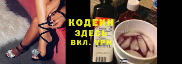винт Лабытнанги