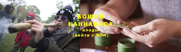 винт Лабытнанги