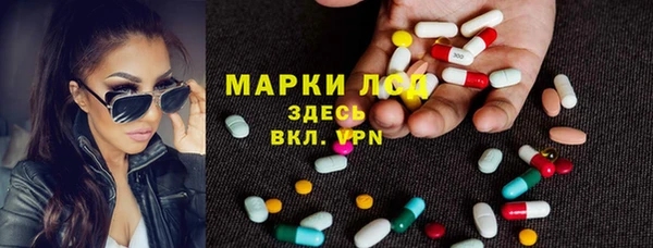 винт Лабытнанги