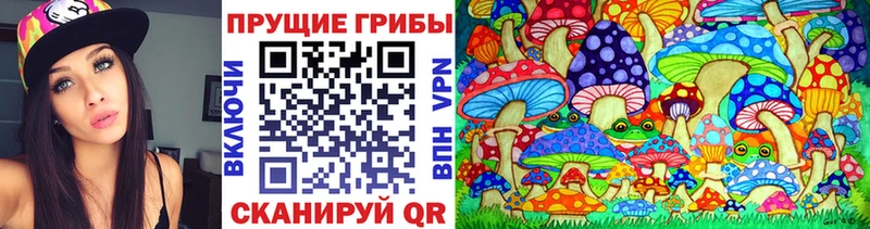 Купить где  Киров  Псилоцибиновые грибы GOLDEN TEACHER 